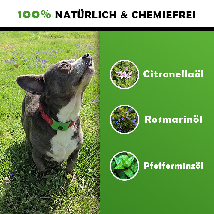 FellNatur Zeckenschutz Anhänger