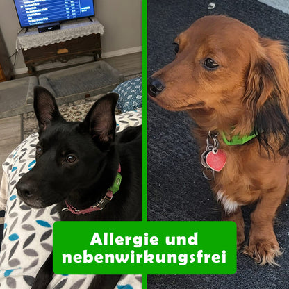 FellNatur Zeckenschutz Anhänger